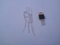 BUZ 11 Arduino.jpg